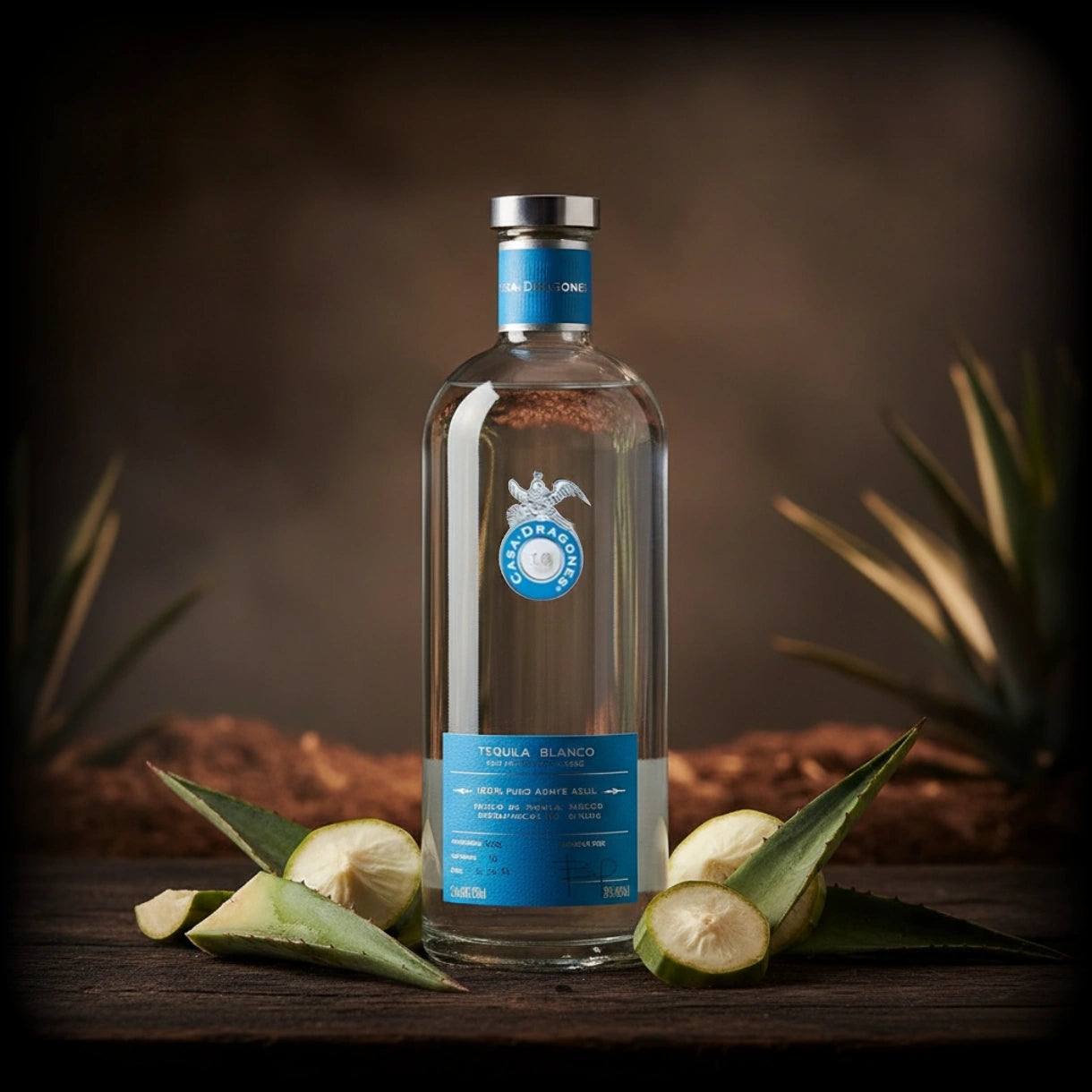 Casa Dragones Blanco